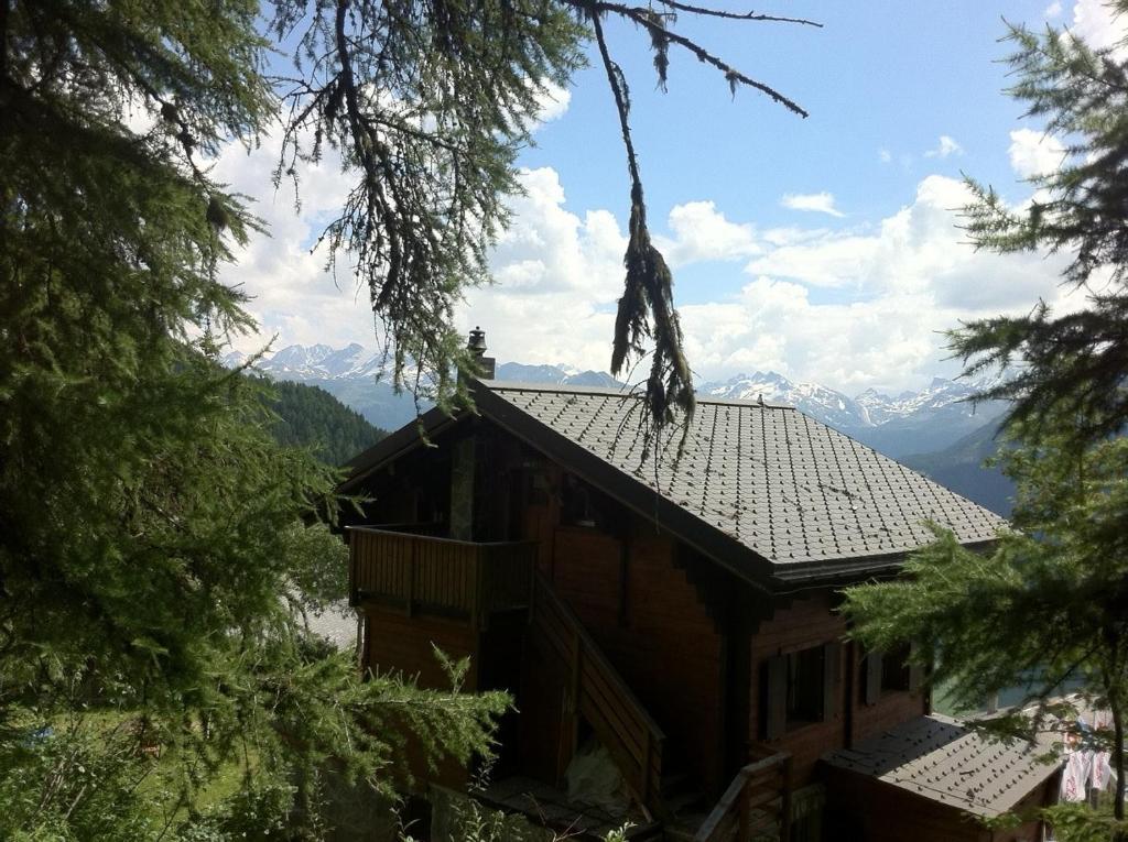 בטמראלפ Chalet Tannenduft מראה חיצוני תמונה